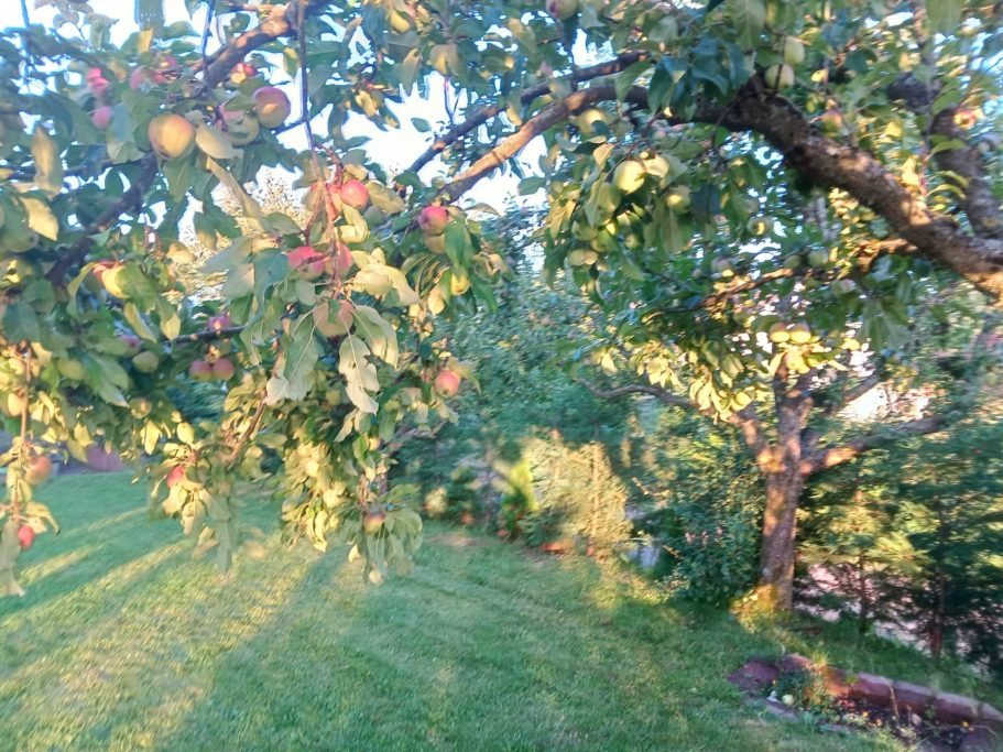 Apfelgarten Wandersnest